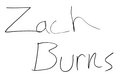 Zach Burns image