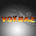 Voxbaz image