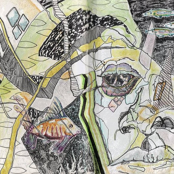 ZXCVB | Rabbit Hole Revelations