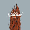 Wildland image