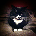 Jairus Khan thumbnail