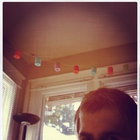 Neal Johnson thumbnail