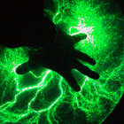 The Signal thumbnail