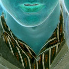 Michael Adams thumbnail