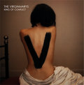 The Virginmarys photo