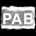 P.A.B. image