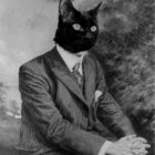 Vincent van Dance thumbnail
