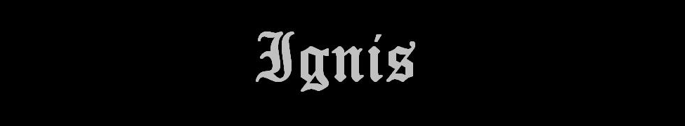 Ignis — Photo · logo