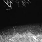Downstate thumbnail