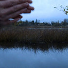 Ruby Fitch thumbnail