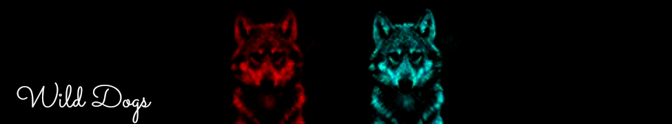 Wild Dogs — Photo