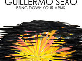 SECRET WILD - Soft Audio T-Shirt + FREE Secret Wild LP+"Bring Down Your Arms" EP photo 