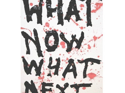What Now What Next by Tony Kapel (Book) main photo