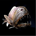 Ralph Machmot thumbnail