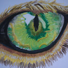 Clancy Baxter thumbnail