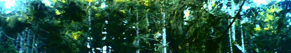 Xelas — Photo