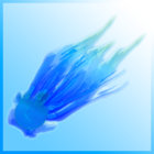 Shirakami Cafe Music/トマト組 a1500783421_10.jpg