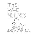 theSongsofJasonMolina image