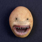 Rob St. Amant thumbnail