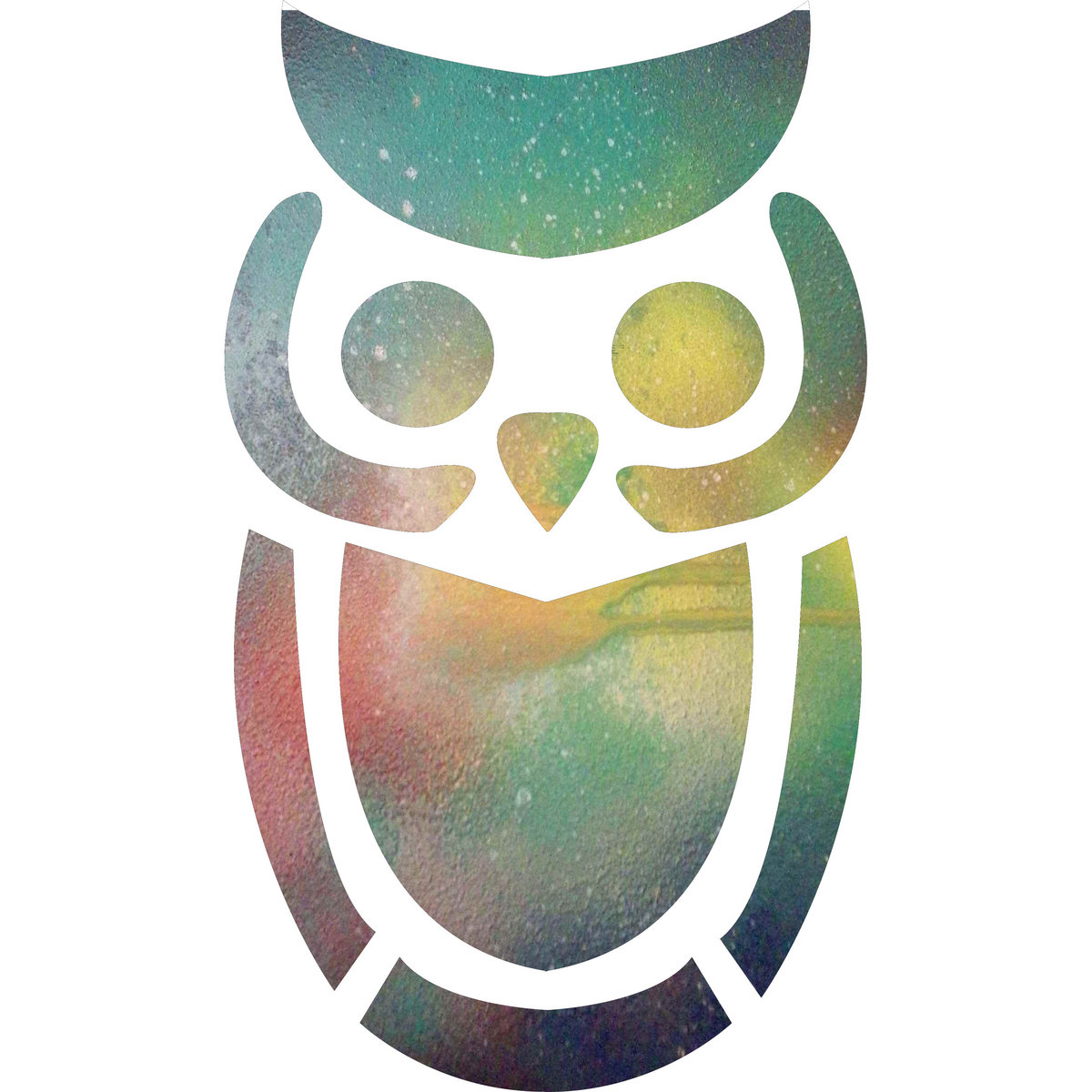 Audio / Visual | Little Owl
