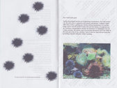 Manett Living, Issue No. 3: The Sea Urchin photo 