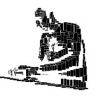 Maurizio Miceli thumbnail