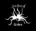 The Synthing Gales image