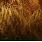 Harry Clapham thumbnail
