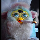 Thundercougarfalconbird thumbnail