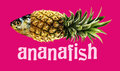 ananafish image