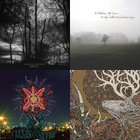 Ruin/Architects アルバム Amazon.co.jp: Ruin: ミュージック