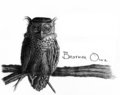 Brother Owl image