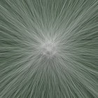 Riccardo Marotti thumbnail