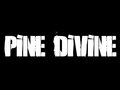PINE DIVINE image