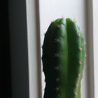 JoklahomA thumbnail