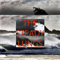 The Steady Lungs image