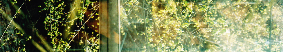 NE-HI — Photo