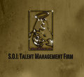 S.O.I. Talent Management Firm image