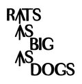 Rats As Big As Dogs image