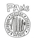 PAMs image