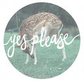 yes please image
