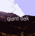 Giant Oak image