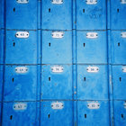 Pollenoid thumbnail