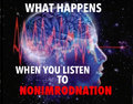 NONIMRODNATION image