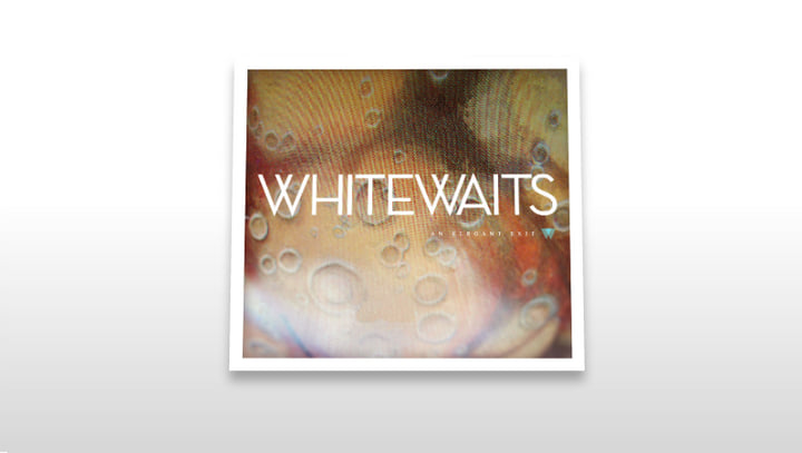 An Elegant Exit | WHITEWAITS