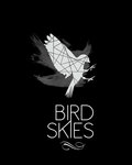 Bird Skies image