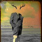 Grey Malkin thumbnail