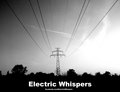 Electric Whispers image