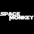 Space Monkey image