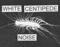 White Centipede Noise image